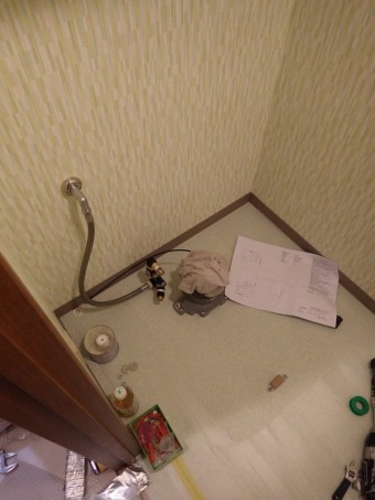 IMGP3881-e1714969505339